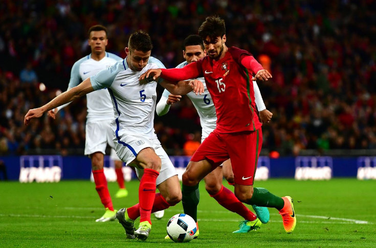 《“适者生存”与生肖文化：哪些生肖代表这一哲学思想？》